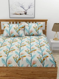 MORADO Premium Glace Cotton Elastic Fitted Double Bedsheet with 2 Pillow Covers (72x78x8 Inches) - Green