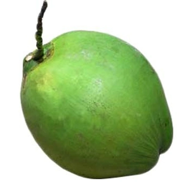 Coconut Green Per Unit