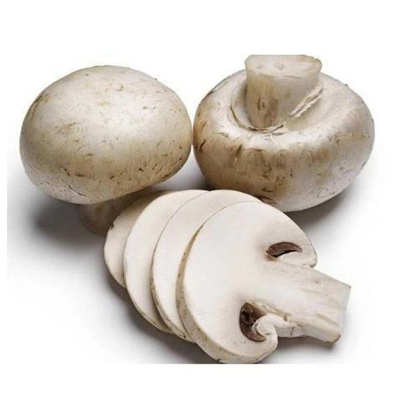 Mashroom (1 Pkt)