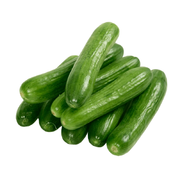Cucumber Seed less.1 Kg