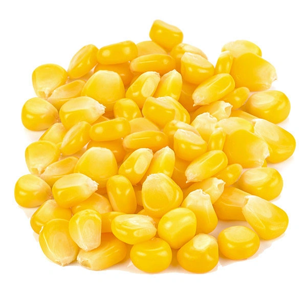 Sweetcorn 1 Pkt