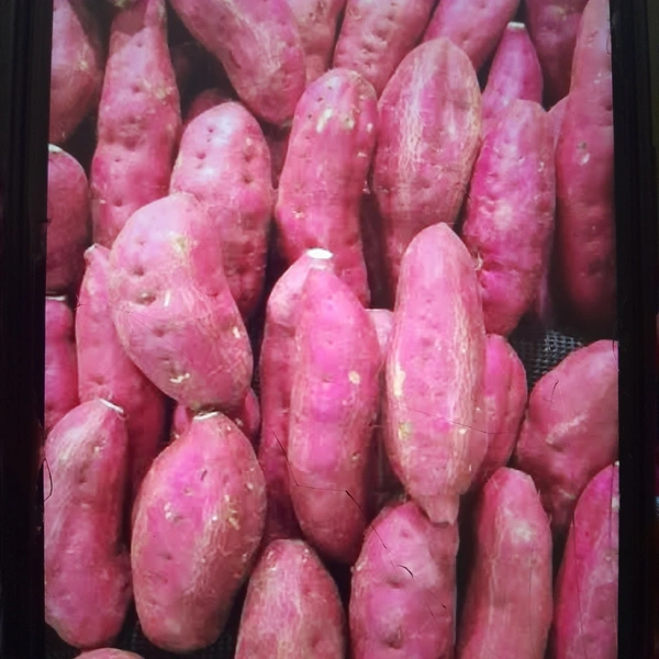 Sweet Potato 1 Kg