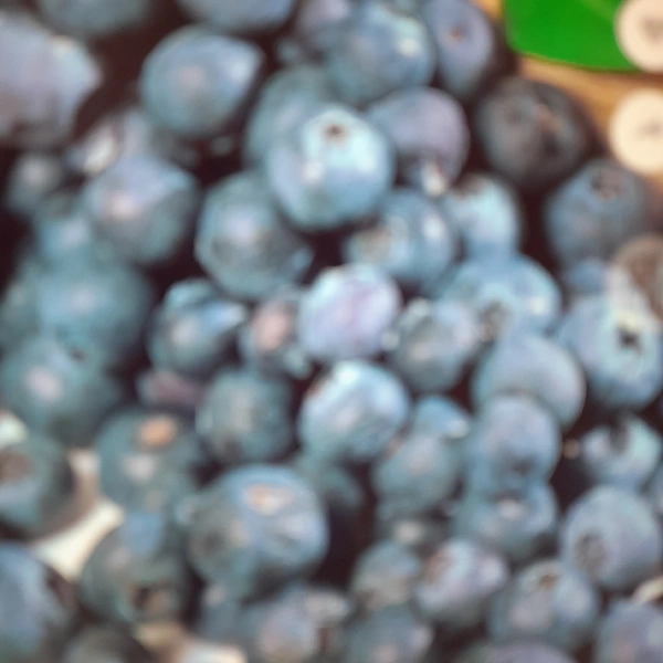 Blue Berry Per Unit