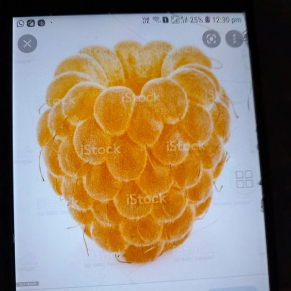 Raspberry Per Unit
