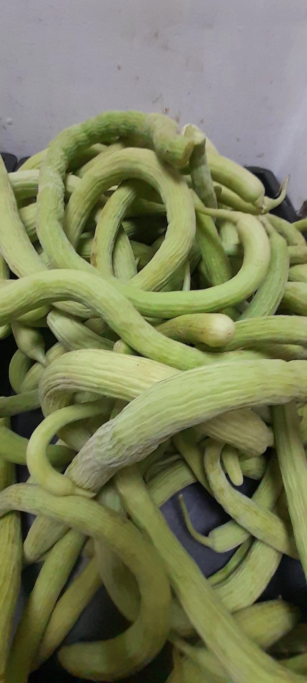 Kakdi Per Kg
