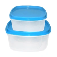  AIRTIGHT KITCHEN STORAGE CONTAINER FOR MULTIPURPOSE USE ( SET OF 2)