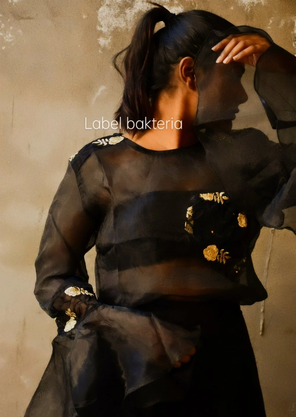 Bakteria  Dramatic Sleeve Organza Fusion Top - Black, XL