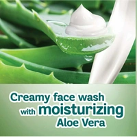 Himalaya Aloevera face Wash  - 100 Ml