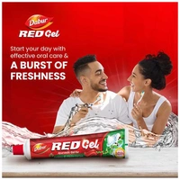 Dabur Red Paste 100 Gm (70MRP) - 100 GMX12 PCS