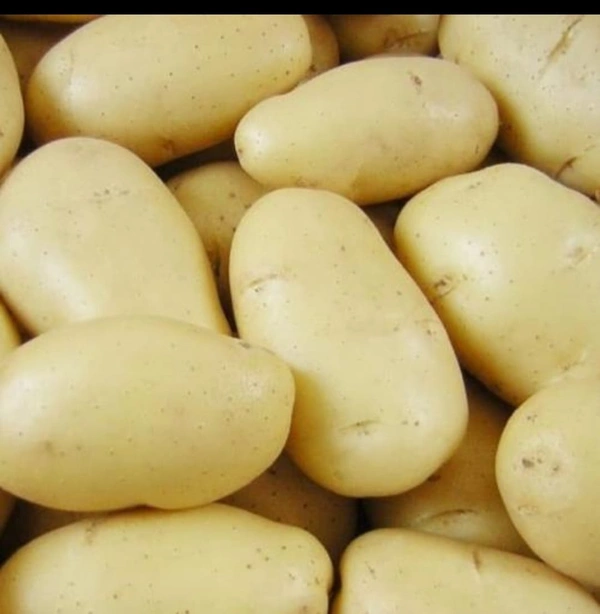 S 6 Potato 1kg