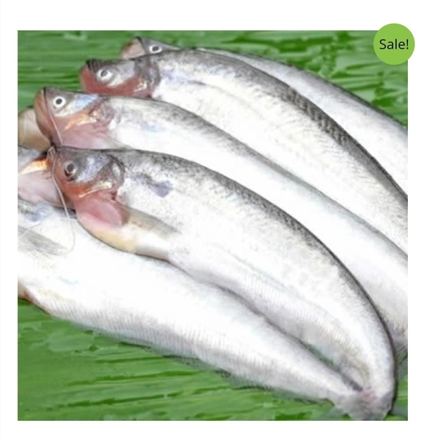 Pabda Fish 250g