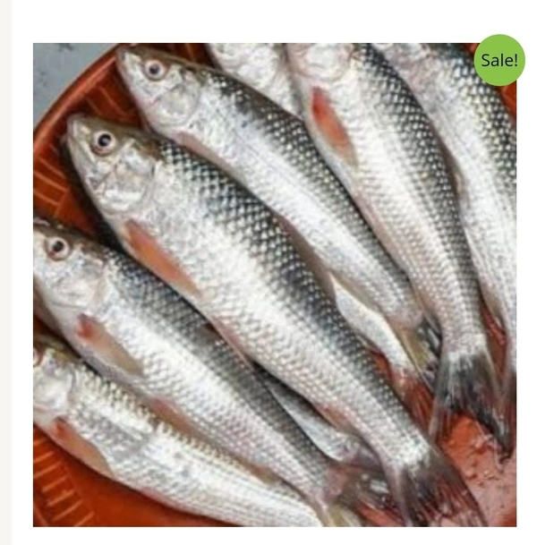 Bata Fish 400g