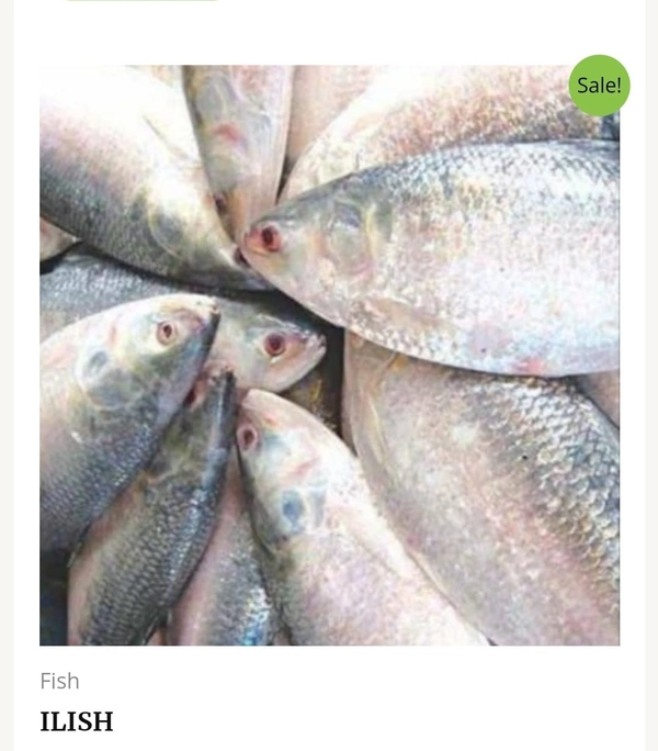 Ilish Fish 500g