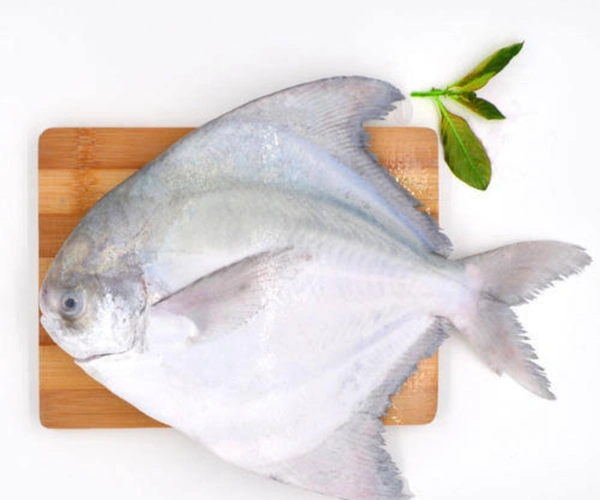 Pomfret Fish 250g
