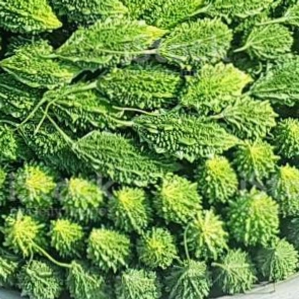 Karola 250g