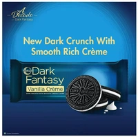 Sunfeast Dark Fantasy Vanilla Creme, 249g, Dark Crunchy Biscuit with Smooth Vanilla Creme