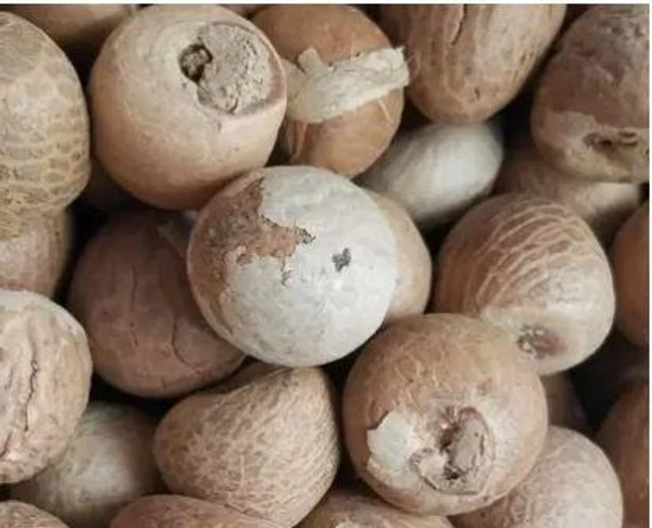 WeKart SUPARI SABUT, ARECA NUT, BETEL NUT (250 g)