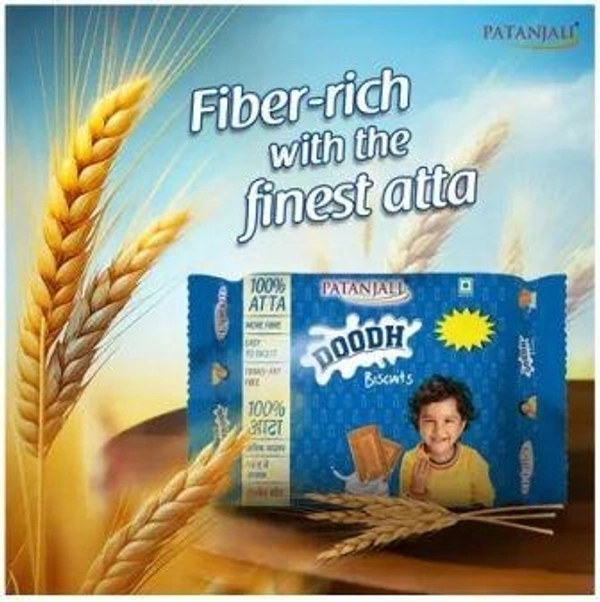 PATANJALI Doodh Biscuit Plain Biscuit (Sada Biscuit)  (800 g)