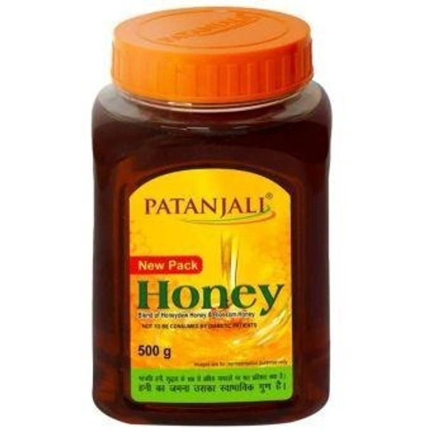 Patanjali Honey 500 g