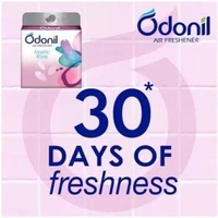Odonil Bathroom Air Freshener | Assorted Blocks | Mixed Fragrance | Long Lasting Odour Blocks  (4 x 48 g)
