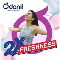 Odonil Bathroom Air Freshener | Assorted Blocks | Mixed Fragrance | Long Lasting Odour Blocks  (4 x 48 g)