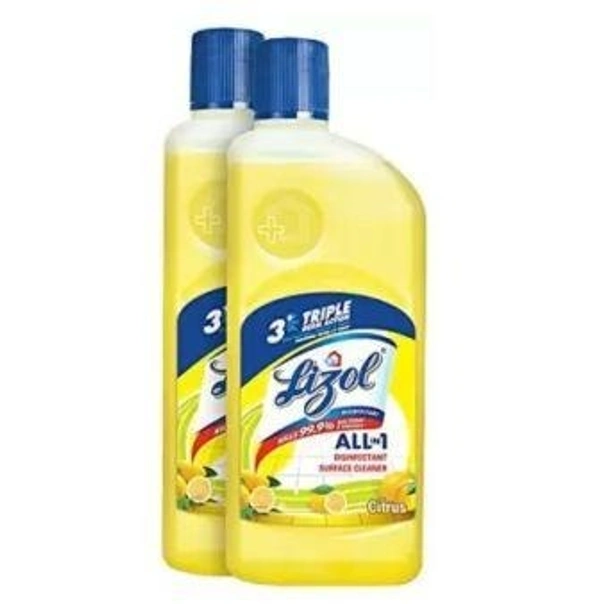 Lizol Disinfectant Surface and Floor Cleaner Citrus 625 ml