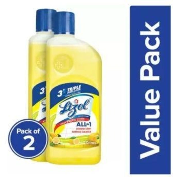 Lizol Disinfectant Surface and Floor Cleaner Citrus  (2 x 625 ml)