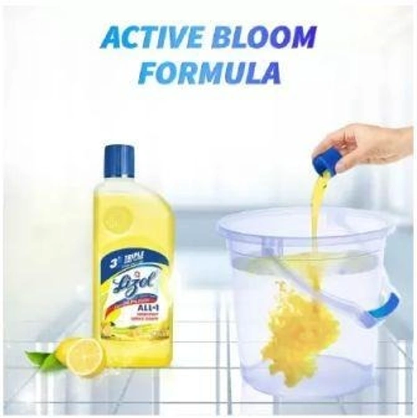 Lizol Disinfectant Surface and Floor Cleaner Citrus 625 ml