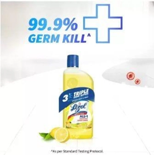 Lizol Disinfectant Surface and Floor Cleaner Citrus 625 ml