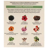 Biotique Herbcolor Conditioning Color, Darkest Brown (3N) (50 g + 110 ml)