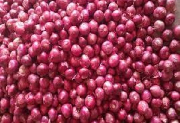 We Kart Pyaj ( Onion ) 1kg