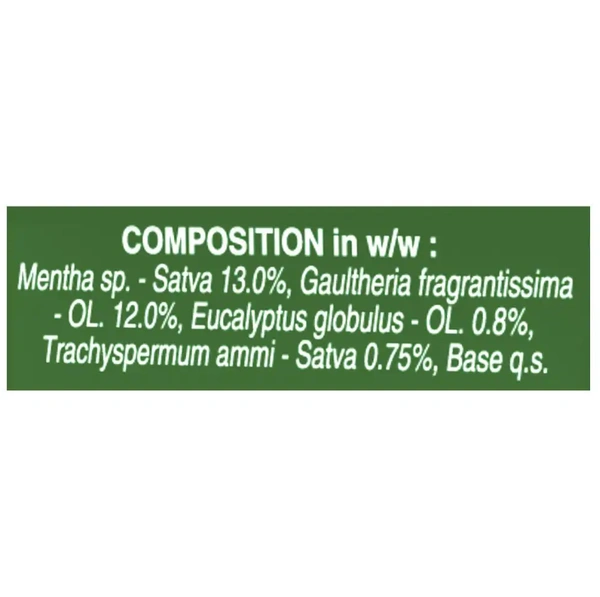 Zandu Pain Relief Balm 8 ml