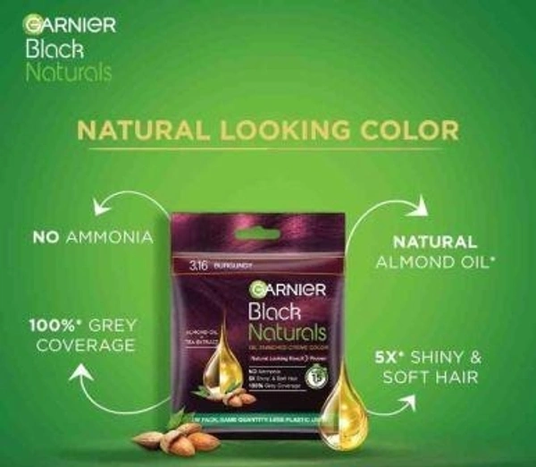 Garnier Black Naturals Shade 3.16 Burgundy