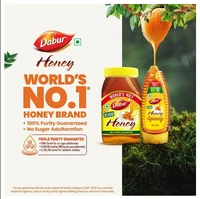 Dabur Honey Jar 650 g