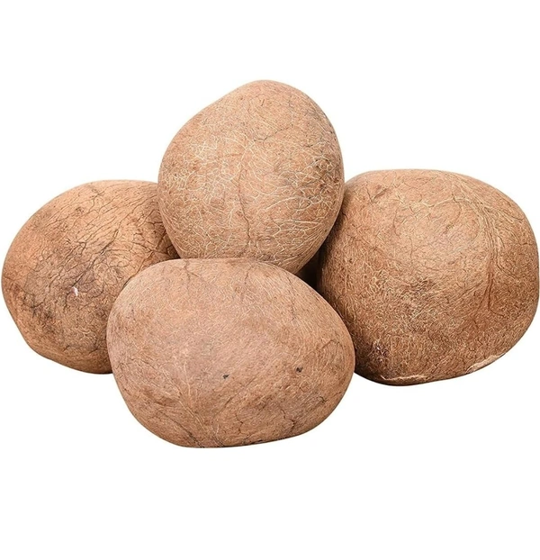 We Kart Dry coconut 1 gadi