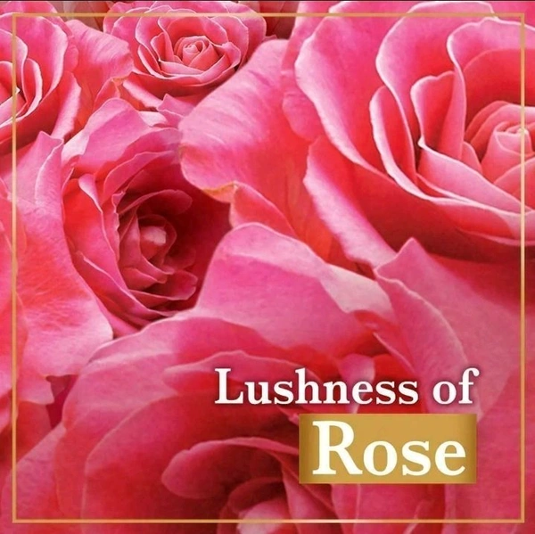 Lux Rose & Vitamin E Soft Glowing Skin Soap Bar 150 g (Pack of 3)