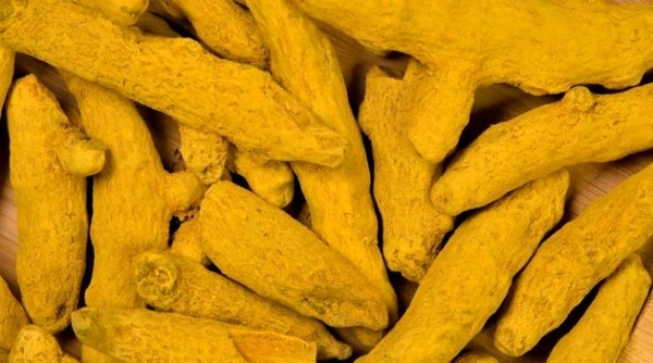 WE KART Whole Turmeric Sticks-1Kg Organically Grown Haldi Sabut Haldi