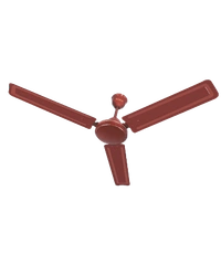 SURYA Race-Hs 900 mm 3 Blade Ceiling Fan  (Brown | Pack of 1)