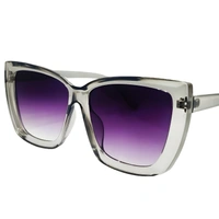 "Persian Indigo Shade Sunglasses with Pastel Gray Mirror Frame" - Free Size, Persian Indigo