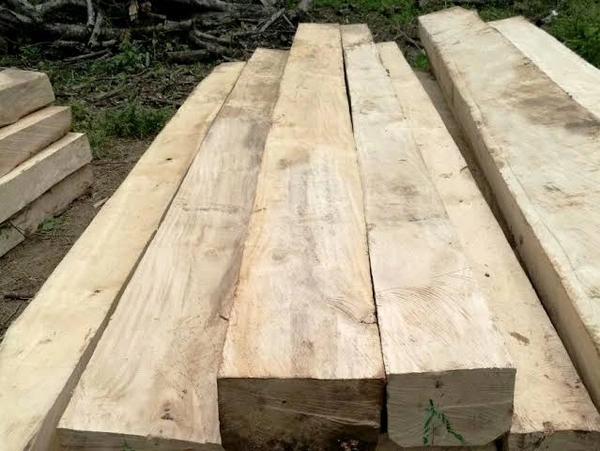 Gamari Wood  - Festival, All Size Woo, 10kg