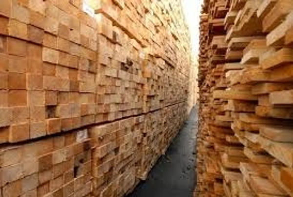 Gamari Wood  - Festival, 5×6×7×8×10, Timber Wood