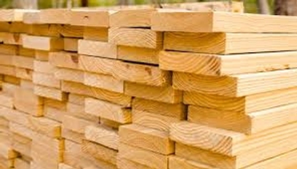 Gamari Wood  - Festival, 5×6×7×8×10, Timber Wood