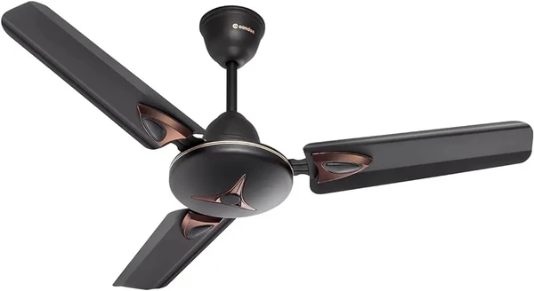 Candes Amaze 440rpm Anti Dust Ceiling Fan, Sweep: 900 mm - Coffee Brown