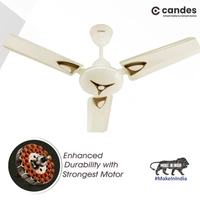 Candes Amaze 440rpm Anti Dust Ceiling Fan, Sweep: 900 mm - Ivory