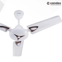 Candes Amaze 440rpm Anti Dust Ceiling Fan, Sweep: 900 mm - White