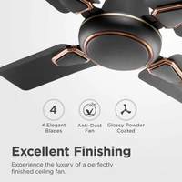 Candes Brio 858rpm 4 Blade Anti Dust Ceiling Fan, Sweep: 600 mm - Coffee Brown
