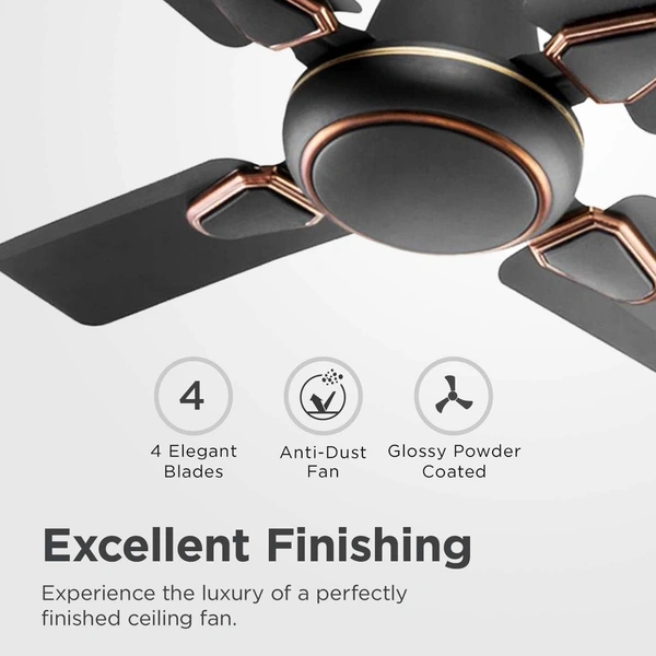 Candes Brio 858rpm 4 Blade Anti Dust Ceiling Fan, Sweep: 600 mm - Coffee Brown