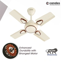 Candes Brio 858rpm 4 Blade Anti Dust Ceiling Fan, Sweep: 600 mm - Ivory