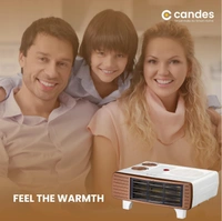 Candes Blow Hot 2000W ABS Plastic Brown & White All in One Silent Blower Fan Room Heater