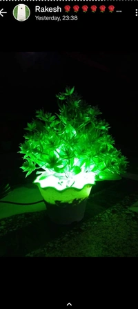 Multibrand  Diwali Decorative Light  - Bright Sun, Free Size, 0.15